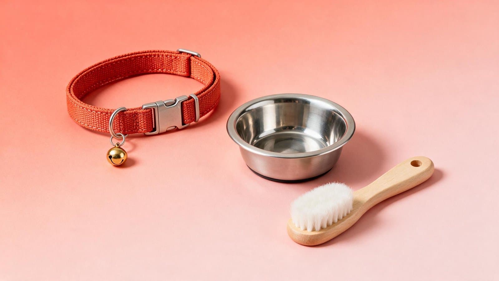 Collar, cuenco de acero y cepillo para gato